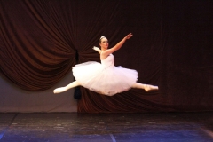 da8ae125-1a00-41f8-a394-b3e27df39ba2