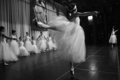 95d897b5-6699-47c4-b0d4-8880cb4a1a69